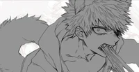 Bakugo lobo