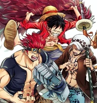 Kidd law and luffy
