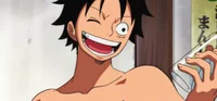 Husband Luffy