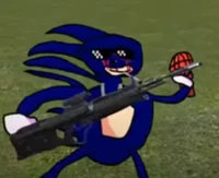 Sanic exe