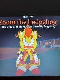 Zoom The Hedgehog 