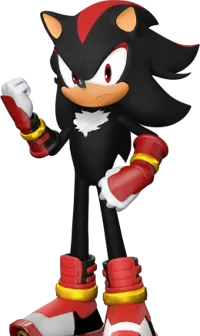 Shadow The Hedgehog