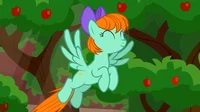 Pepermint Goldylinks