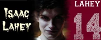 Void Issac