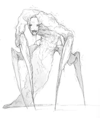 Night crawler
