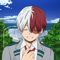 Shoto Todoroki 