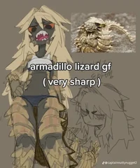 Armadillo Lizard