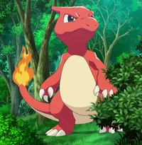 Charmeleon