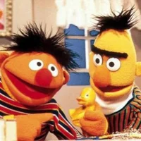 BERT AND ERNIE