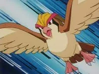 Pidgeot