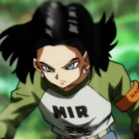 Android 17
