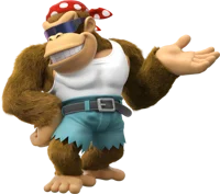 Funky kong