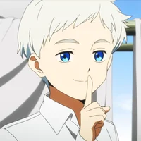 Norman - TPN