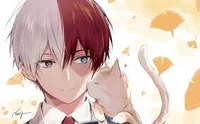 Shoto Todoroki