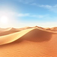 Your stuck in desert