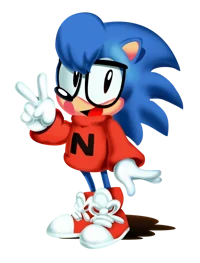 Nicky The Hedgehog