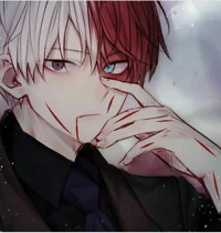 Shoto Todoroki SH