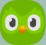 Duolingo