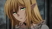 Slave elves