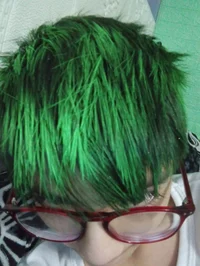 Persona de peloverde