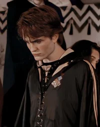 Cedric diggory 