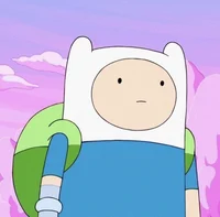 Finn the Human