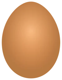 Chicken Egg