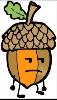 Alan The Acorn