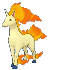 Rapidash