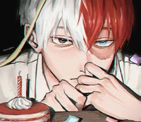 Shoto Todoroki 