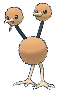 Doduo