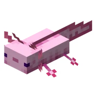 Axolotl