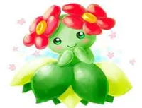 bellossom