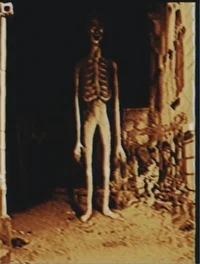 Avarage ohio citizen