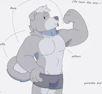 generic furry dog