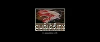 TheCuriosityCompany