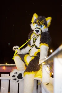 locked in fursuit 
