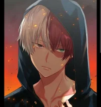 Shoto Todoroki
