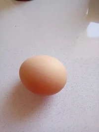 Egg Jesus