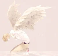 Angel bf