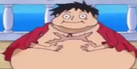 Fat luffy