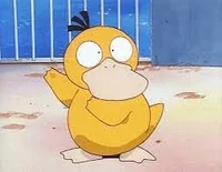 Psyduck