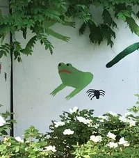Frogs Incorporated