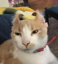 Barry