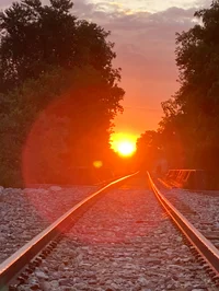 Crow A Romantic Date