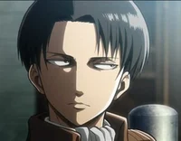 Captain Levi