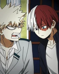 Shoto and bakugo