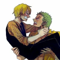 Zoro y Sanji