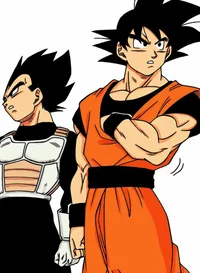 Goku y Vegeta 