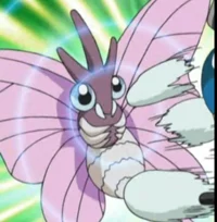 Venomoth